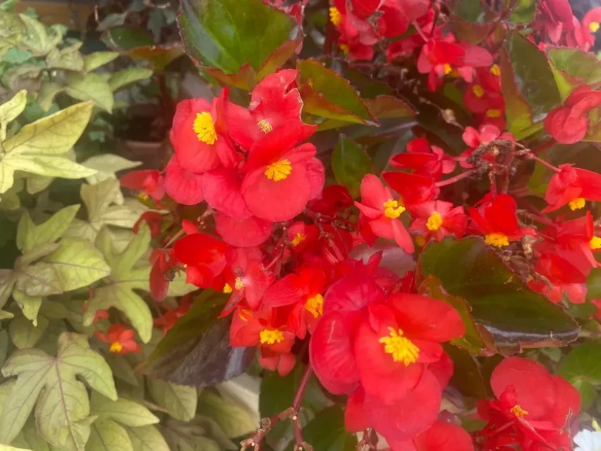 Прогноз погоды, именины, праздники в Астрахани в понедельник 7 августа