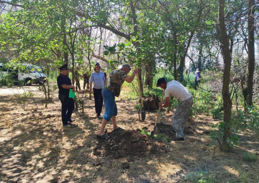 Под Астраханью накажут собственников земель с наркосодержащими растениями