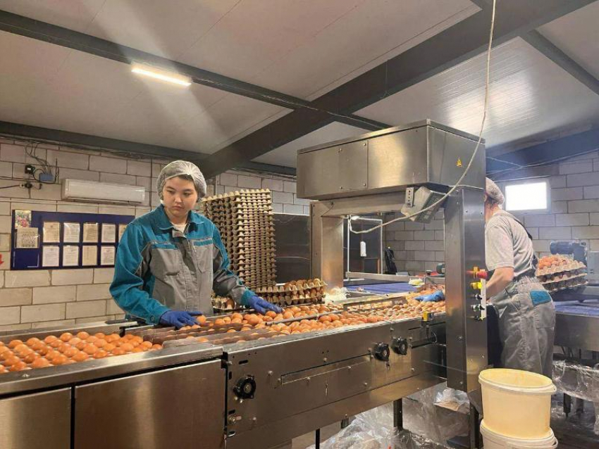 Шесть астраханских производств увеличили выработку на 46%