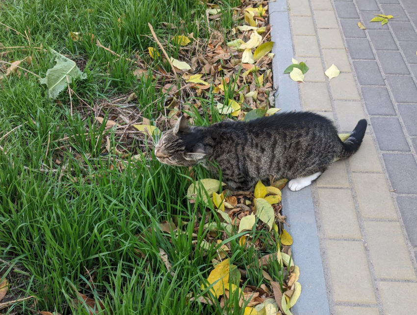 Погода, праздники, именины в субботу 21 октября