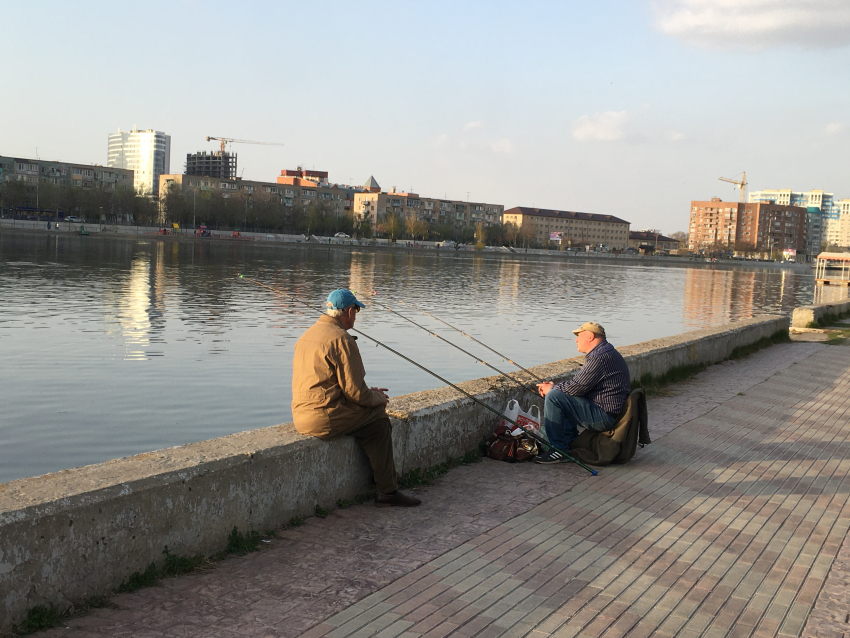 Вылов воблы катастрофически упал: почему ее добыча в Астраханской области запрещена