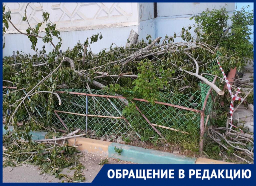 Варварская опиловка от «Зеленого города» уничтожила несколько астраханских палисадников
