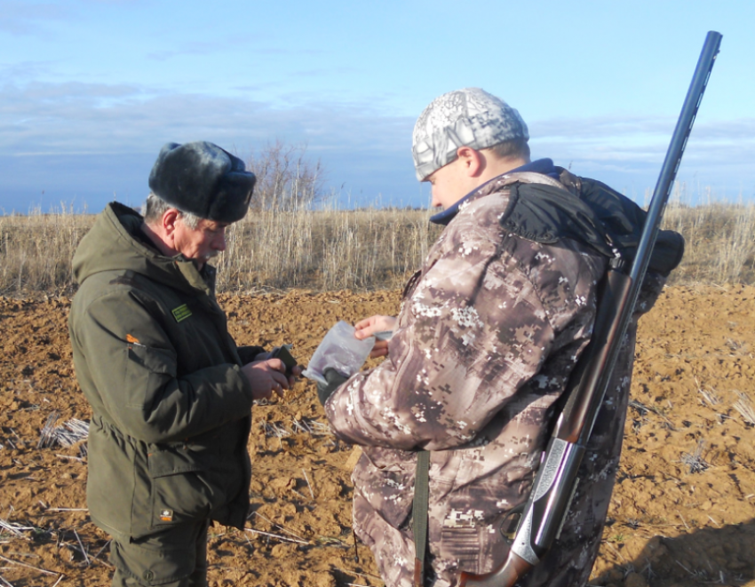 В Астраханской области правила охоты нарушили 120 раз с начала сезона