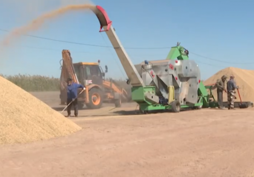 Белорусские рестораторы восхитились астраханским рисом: он идеален для роллов