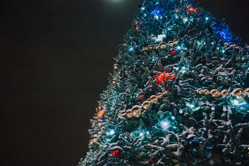 Новогодние праздники в Астрахани будут под особым контролем