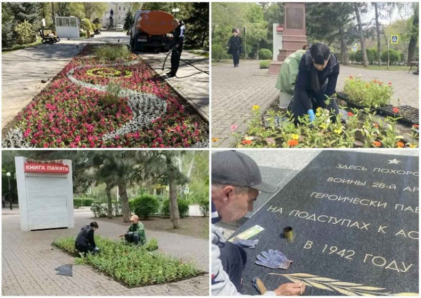 Глава Астрахани попросил уважать труд озеленителей и не воровать рассаду