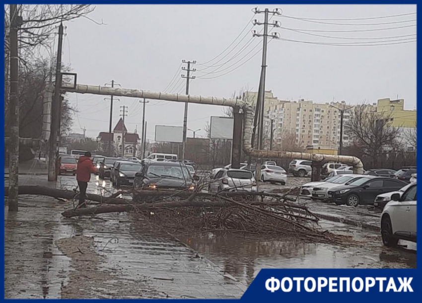 Ураган в Астрахани привел к массовому «деревопаду"