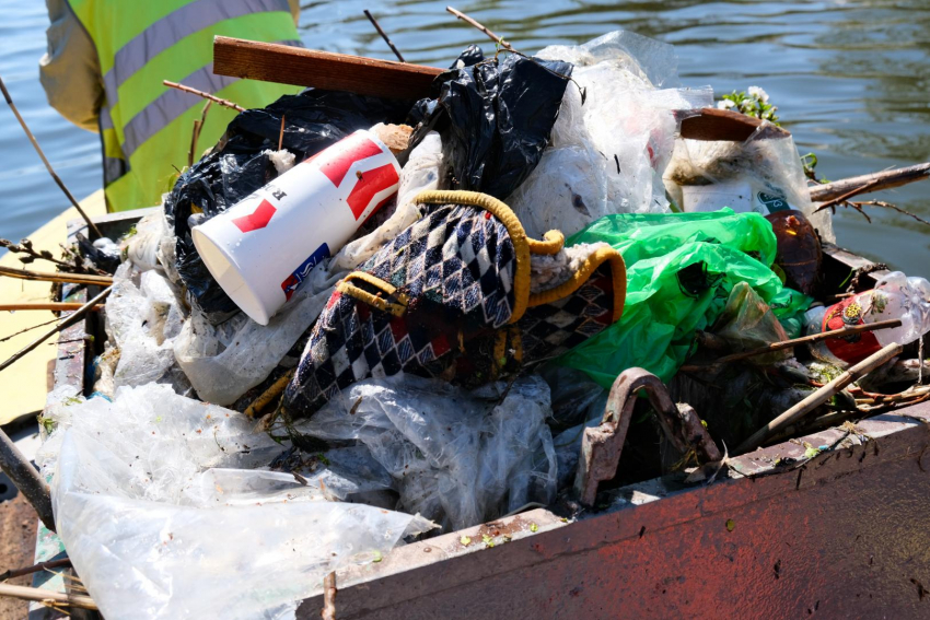 Глава Астрахани резко высказался о ситуации с городскими водоемами: чего там только нет
