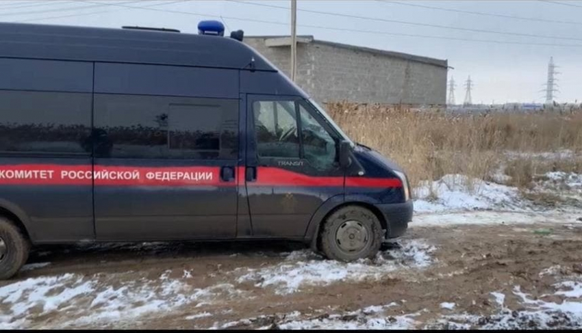 Игорь Бабушкин высказался об ужесточении мер против бездомных собак 