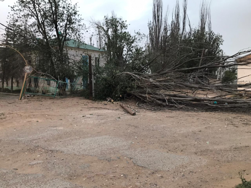 Во время бури на 10-летнюю астраханку упало дерево