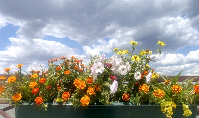 Прогноз погоды, именины, праздники в Астрахани во вторник 27 июня