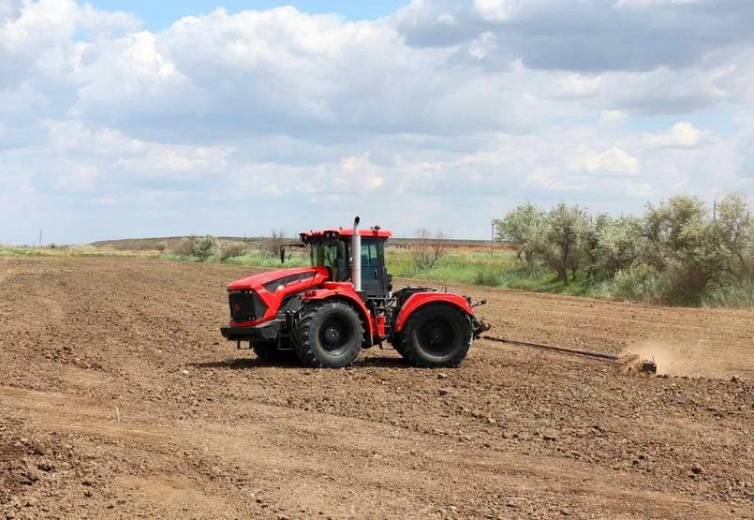 Астраханская область увеличит рисовые поля в шесть раз