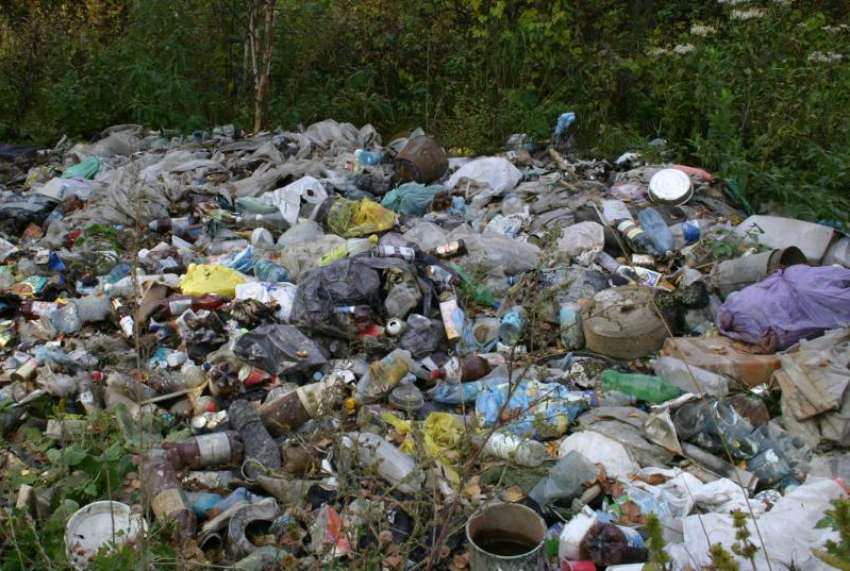 На сельхозугодиях Астраханской области обнаружены очаги отходов и навоза