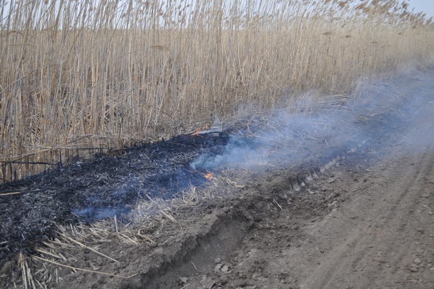 В Астрахани на пять месяцев ввели противопожарный режим 