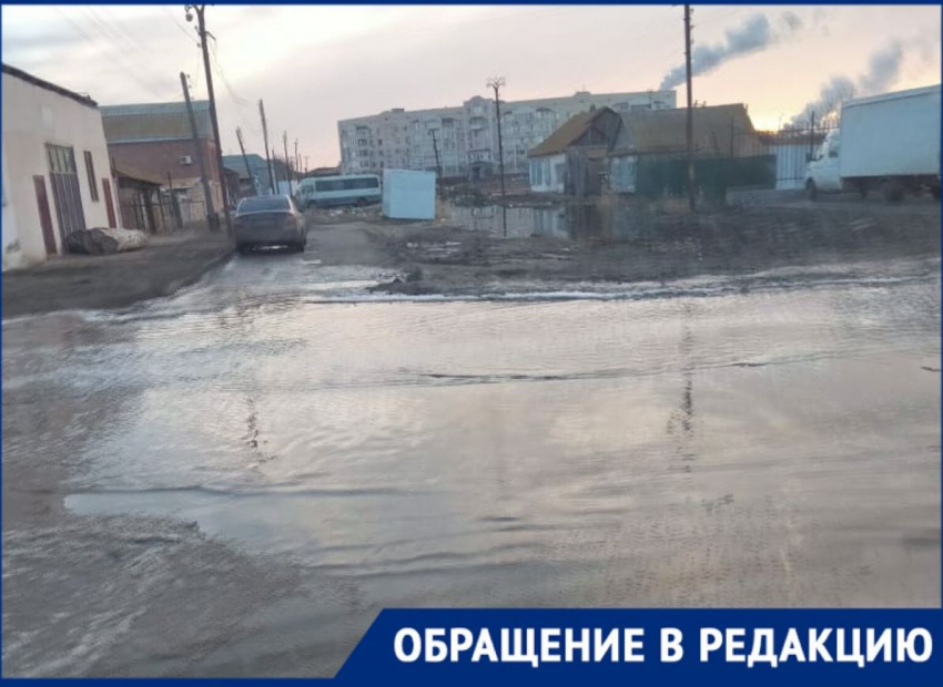 Жители улицы Плещеева: «Фекальные воды топят наши дома»