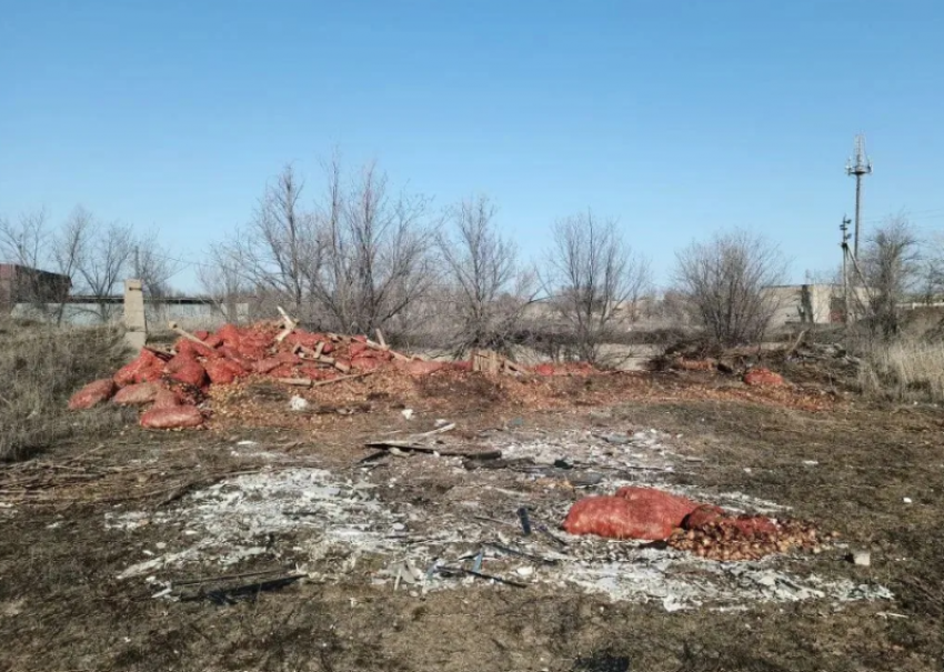 На севере Астраханской области обнаружили свалку репчатого лука