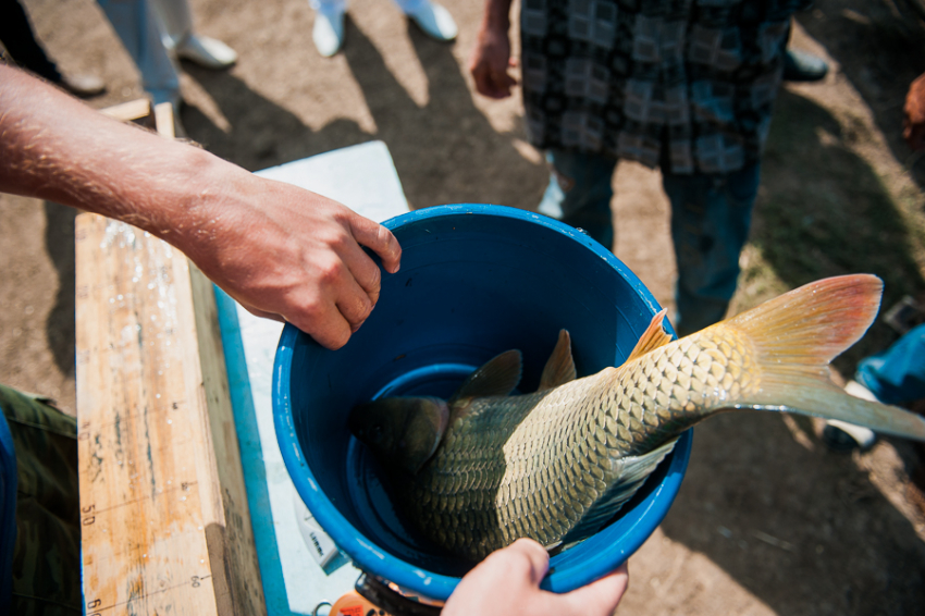 Рыбу в Астраханской области можно спасти 