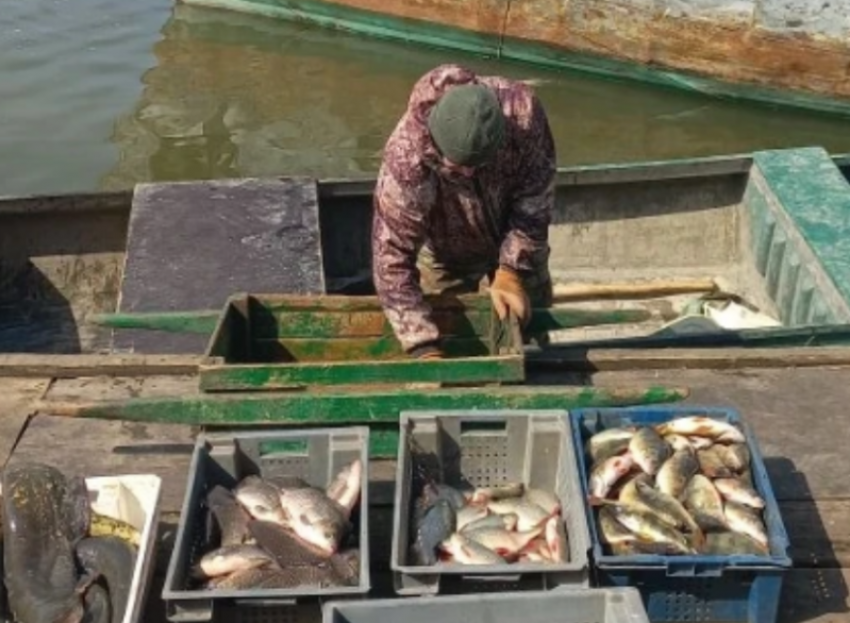 На весеннюю путину около 600 астраханцев стали рыбаками