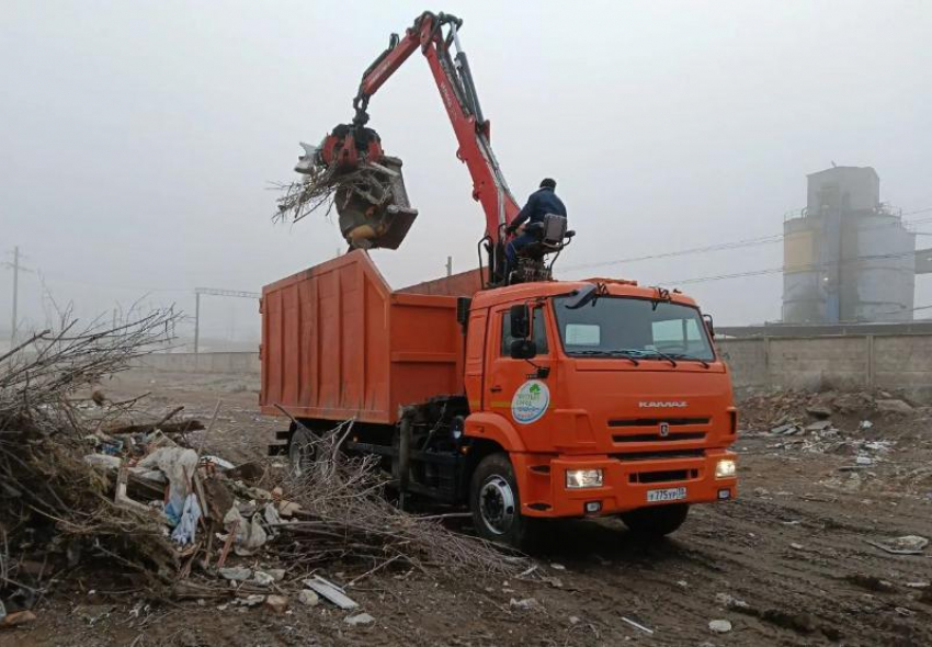 Астраханцам рекомендовали выносить елки на мусорные площадки