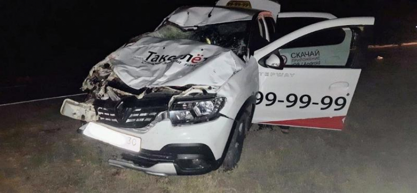 Под Астраханью таксист въехал в табун лошадей