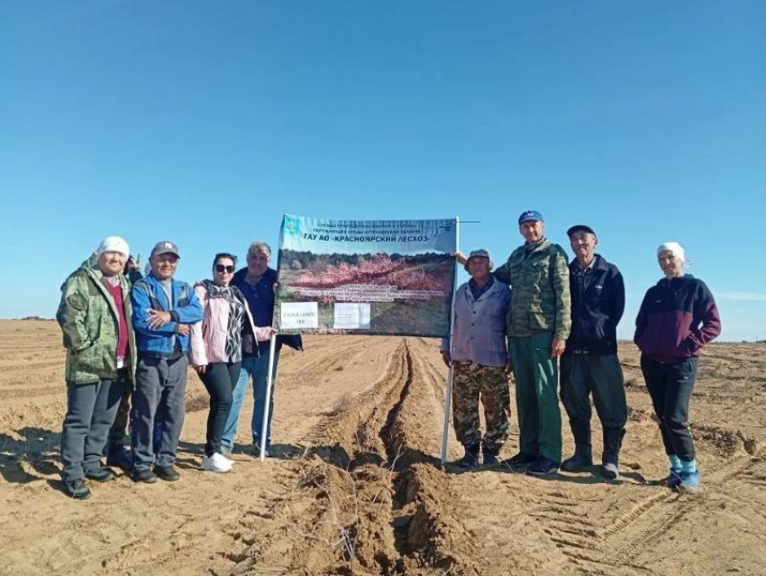 Землям Астраханской области вернут зелень: принимаются меры против опустынивания