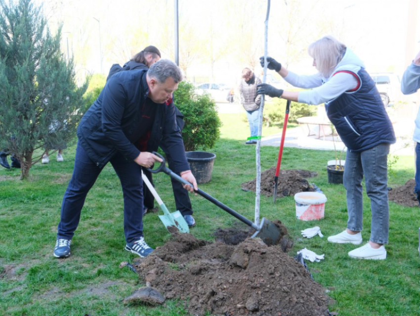 Жителей Астрахани позвали принять участие во Всероссийском субботнике