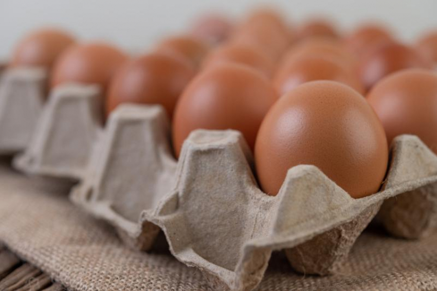 Астраханские птицефабрики будут продавать яйца по низким ценам