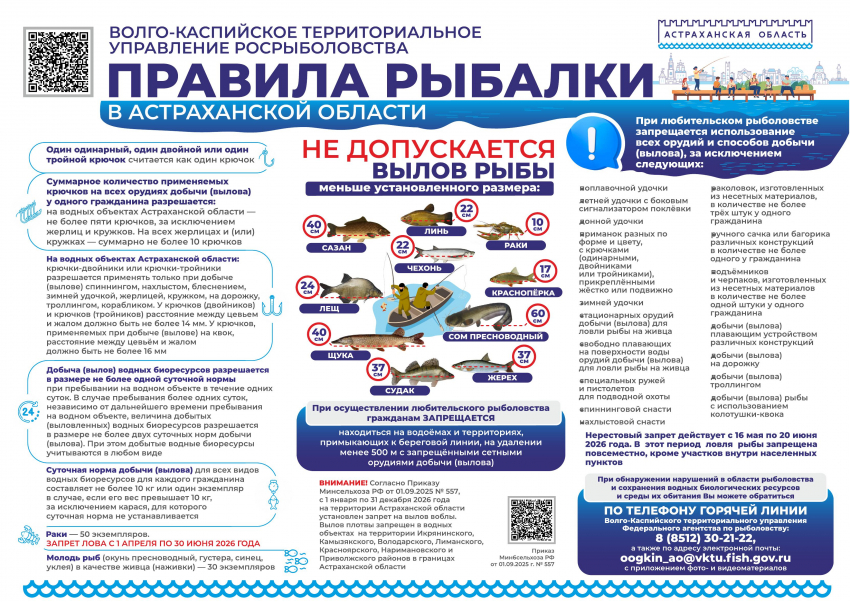 В Астраханской области введут нерестовый запрет: что это значит