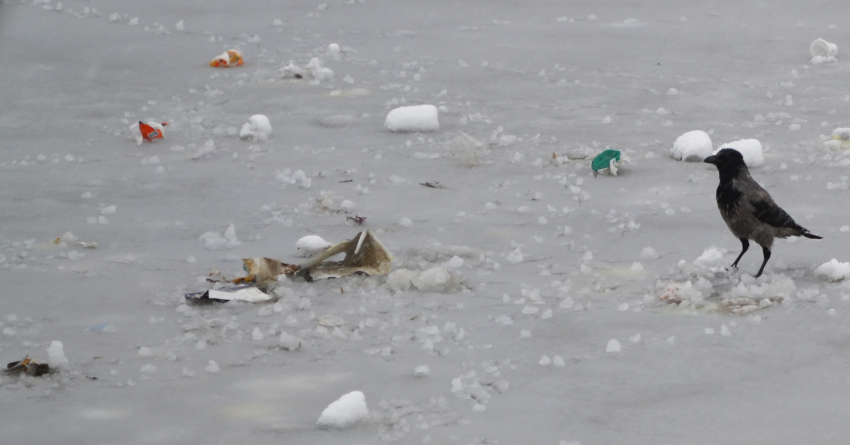 Под Астраханью погиб 41-летний мужчина, провалившись под лёд на мопеде