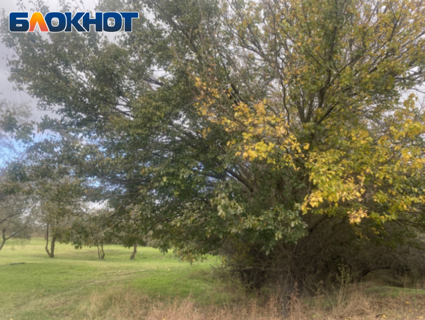 Погода, праздники, именины в среду 18 октября