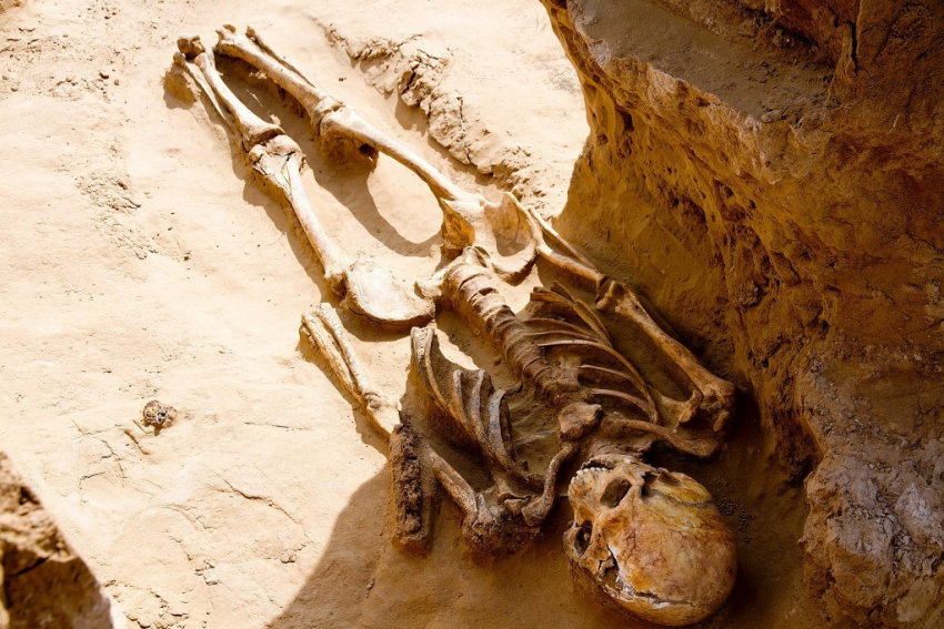 Астраханцы увидели плохой знак в раскопках могилы сарматского воина
