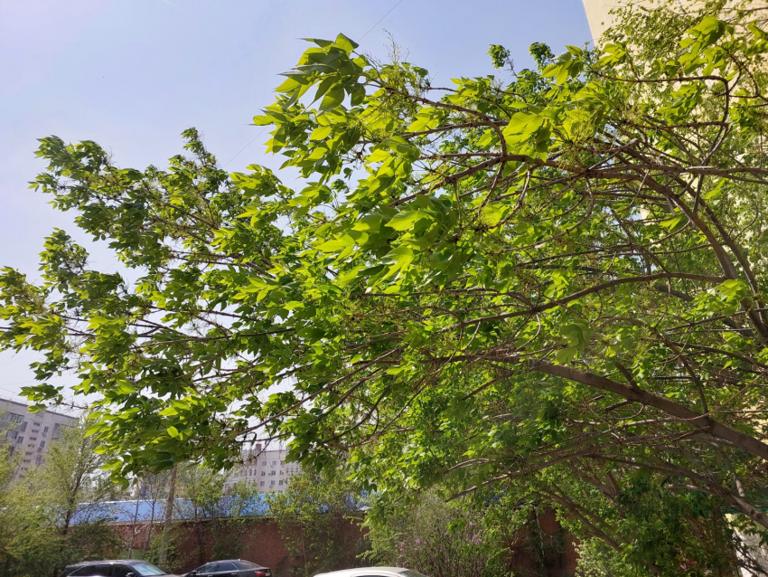 Погода, праздники, именины во вторник 30 апреля 