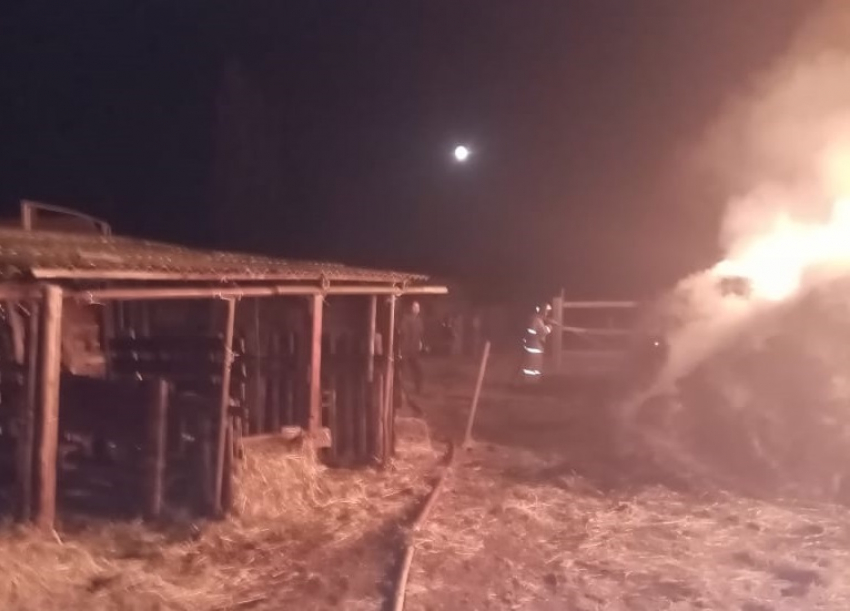 На пожаре под Астраханью пострадало сено 