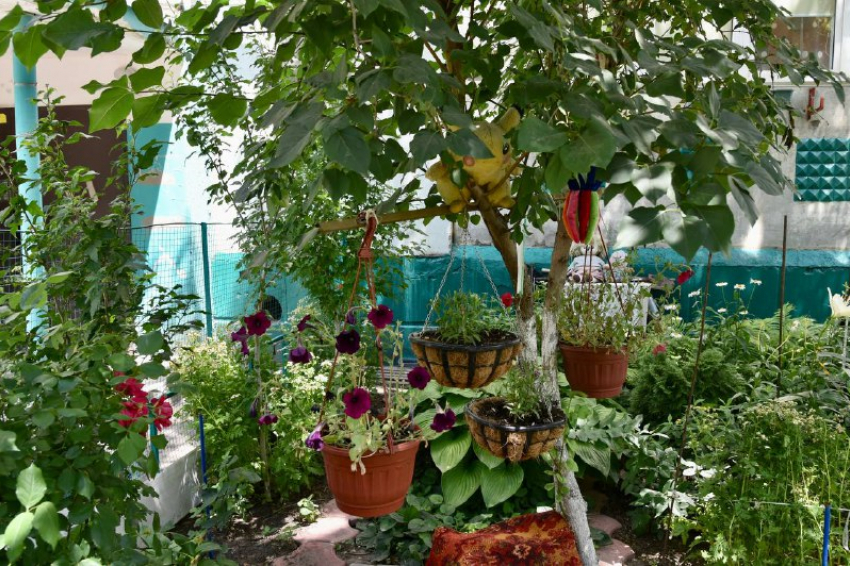 В Астрахани на конкурс «Сами садик мы садили» поступило уже более ста заявок