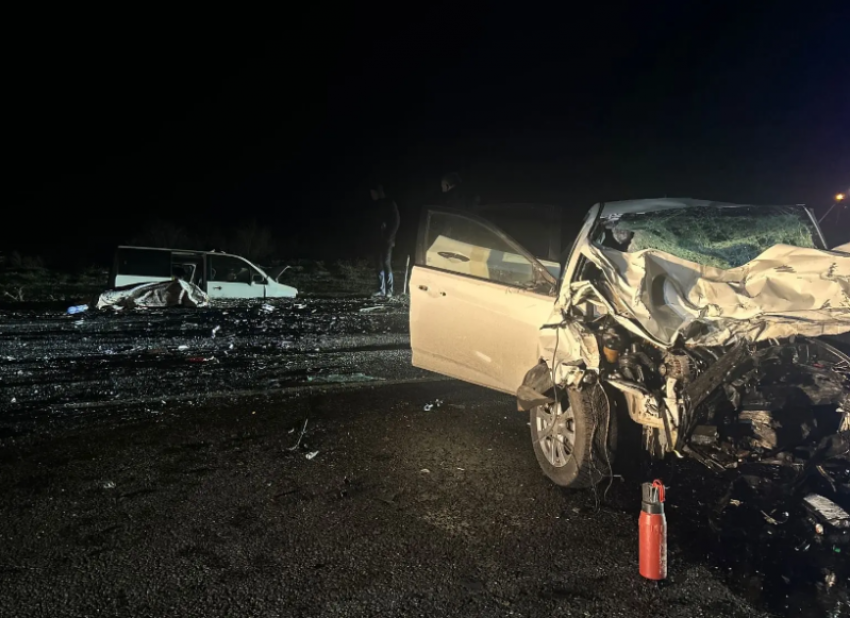 Под Астраханью корова спровоцировала ДТП: водитель погиб