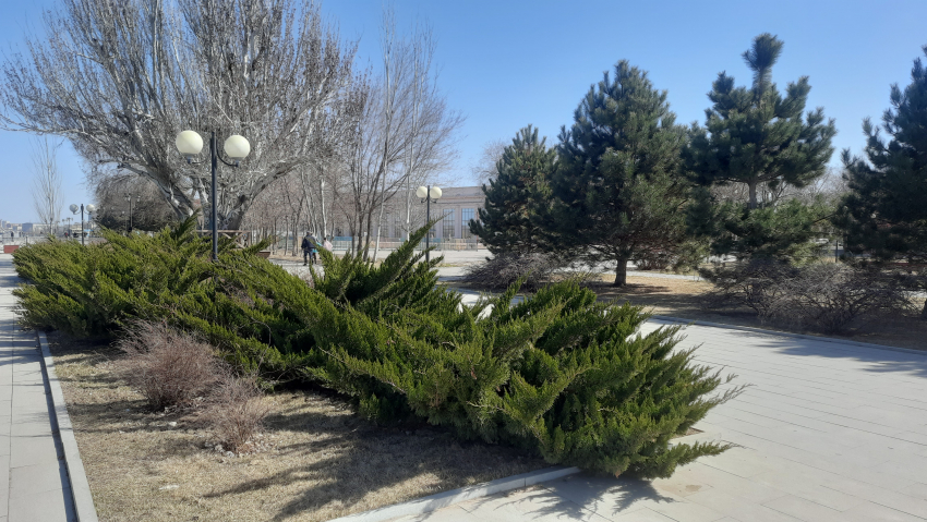 В Астрахани будет тепло и солнечно