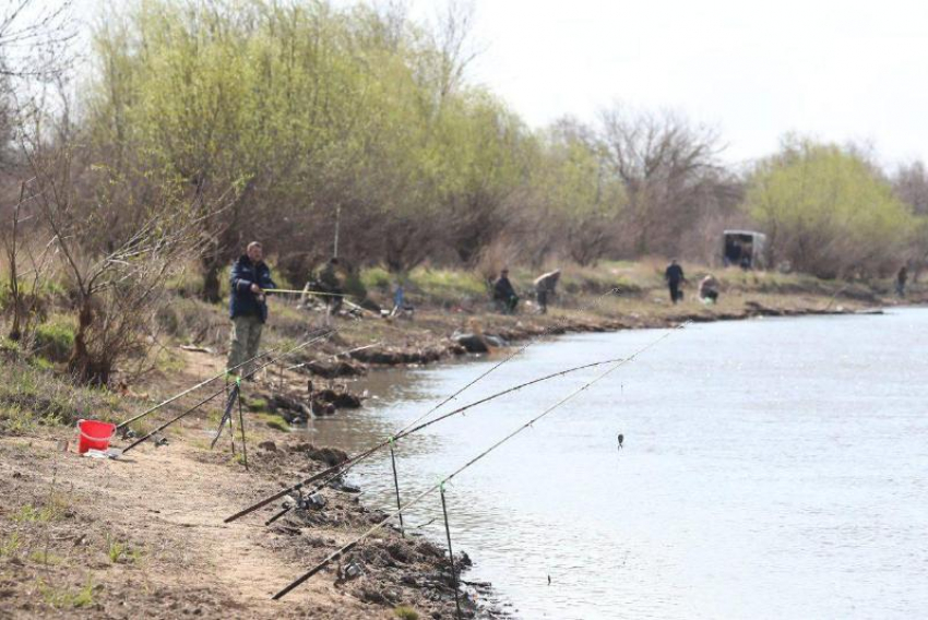 Астраханцам запретили ловить воблу: теперь официально