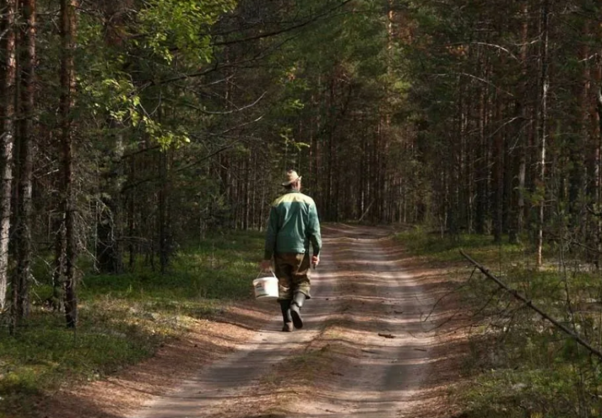 В Астраханской области гражданам придется покинуть леса до 30 мая