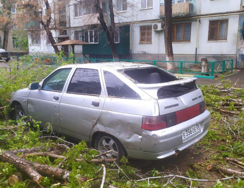 В Астрахани на улице Татищева дерево рухнуло на автомобиль ВАЗ 2112