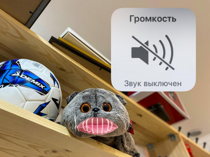 Астраханцам больше не придётся слушать рекламные слоганы под своими окнами