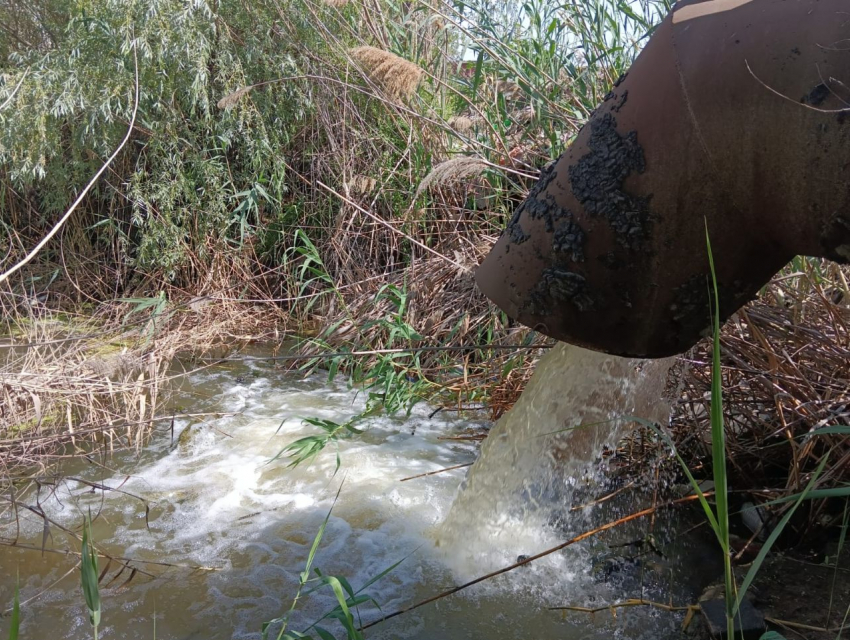 Власти Астрахани будут 4 месяца качать воду в ерик Солянка 