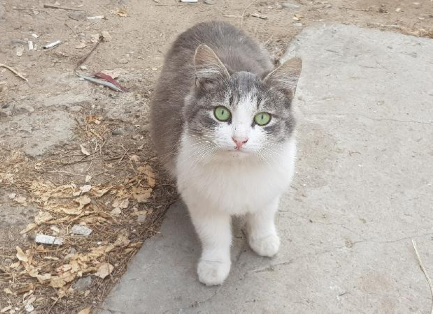  В Астрахани погода законсервировалась