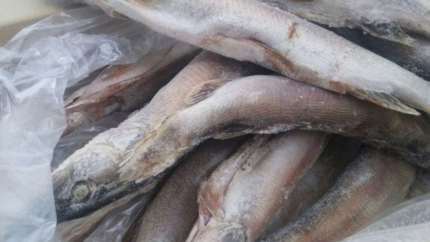 Икрянинский предприниматель хранил три тонны рыбы неизвестного происхождения 
