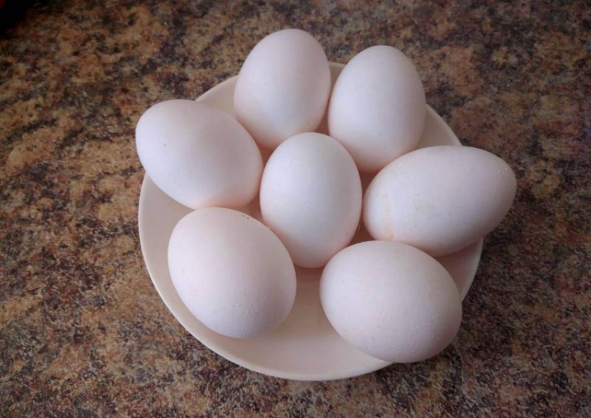 Астраханский минсельхоз назвал признаки качественных куриных яиц