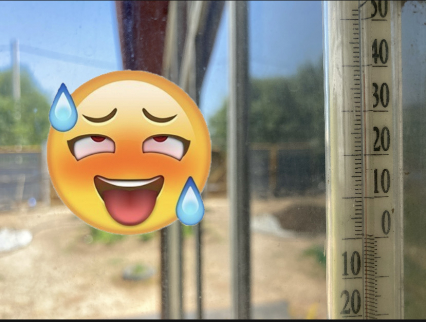 Я остаюсь: жара в Астраханской области продлится до конца недели