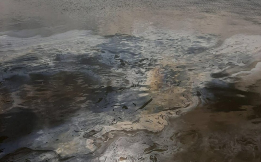 В Астрахани снова обнаружили загрязнение реки