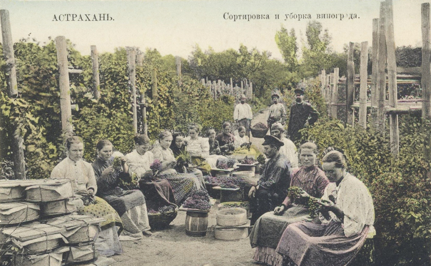 В Краеведческом музее расскажут о зарождении садоводства в Астрахани