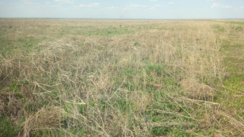В Астраханской области выявлено более 8 тысяч гектар брошенной сельхозземли 