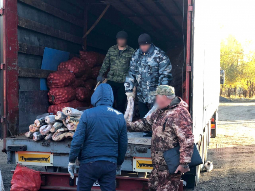 Грузовик полный красной рыбы задержали под Астраханью