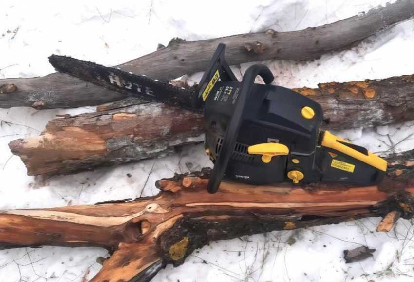 В Астраханской области нарушили санитарную безопасность лесов